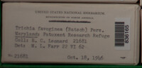 Image Associated With the Occurence